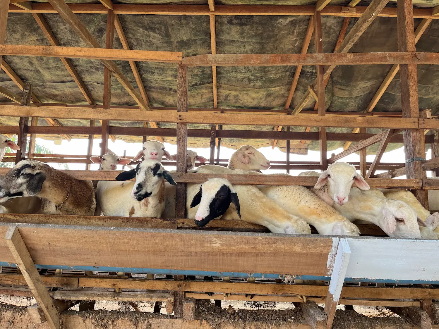 FnB Farm operations